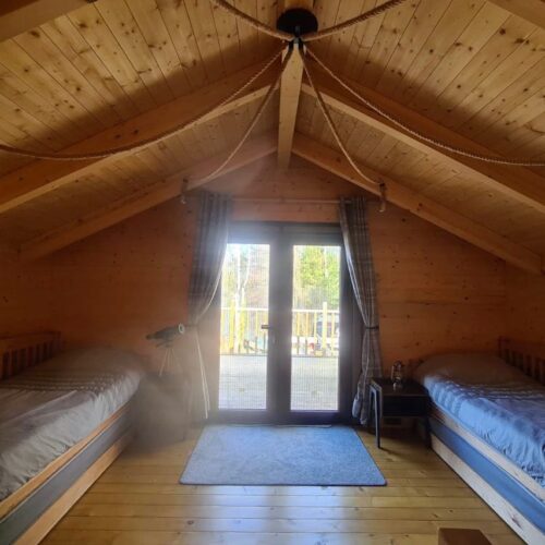 WhatsApp Image 2026-02-03 at 17.18.06 (4)