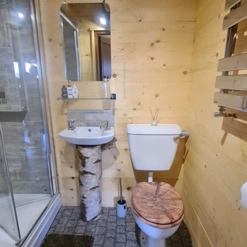 WhatsApp Image 2026-02-03 at 17.18.07 (1)