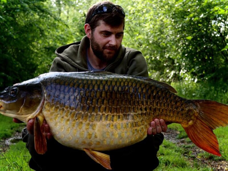 WhatsApp Image 2026-02-03 at 17.48.25 (2)