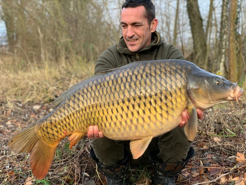 WhatsApp Image 2026-02-03 at 17.48.25