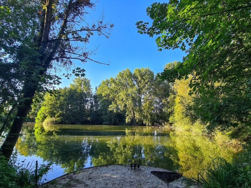 WhatsApp Image 2026-02-03 at 17.48.27 (5)