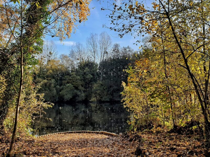 WhatsApp Image 2026-02-03 at 17.48.28 (2)