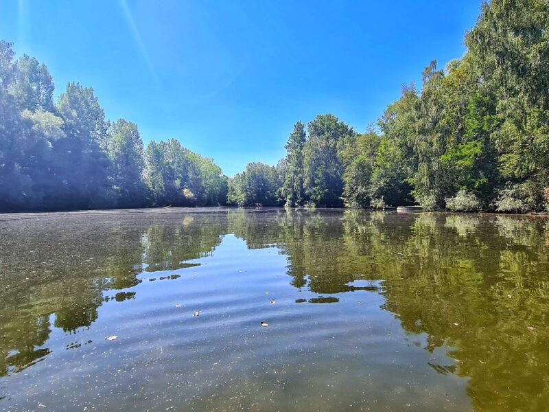 WhatsApp Image 2026-02-03 at 17.48.28 (3)