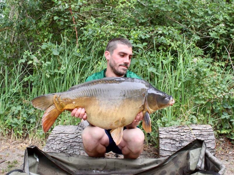 WhatsApp Image 2026-02-03 at 17.48.28 (4)