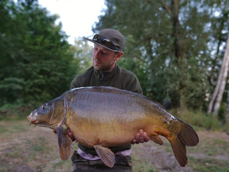 WhatsApp Image 2026-02-03 at 17.48.28 (5)