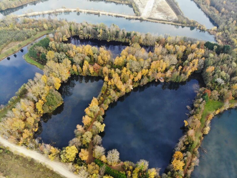 WhatsApp Image 2026-02-03 at 17.48.28