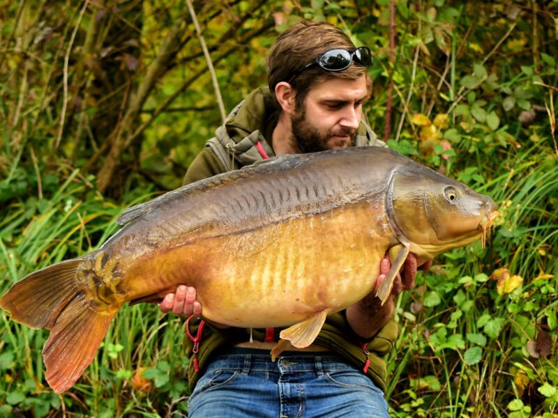 WhatsApp Image 2026-02-03 at 17.48.29 (11)