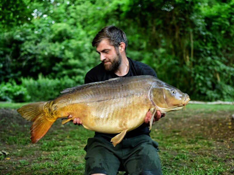 WhatsApp Image 2026-02-03 at 17.48.29 (3)