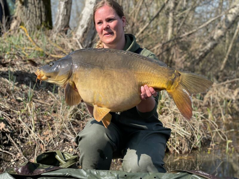 WhatsApp Image 2026-02-03 at 17.48.29 (9)