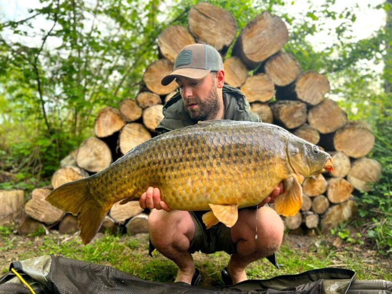 WhatsApp Image 2026-02-04 at 09.46.04