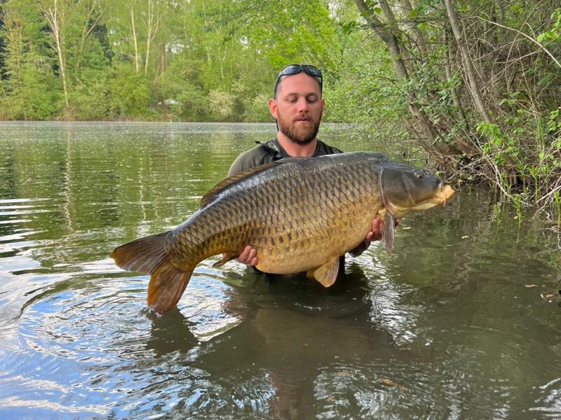 WhatsApp Image 2026-02-04 at 09.46.40