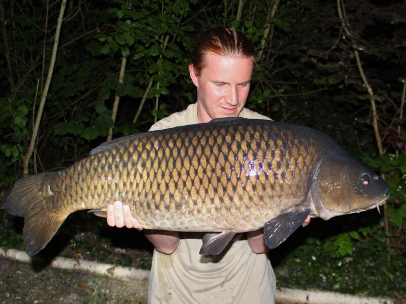 WhatsApp Image 2026-02-04 at 09.48.34 (1)