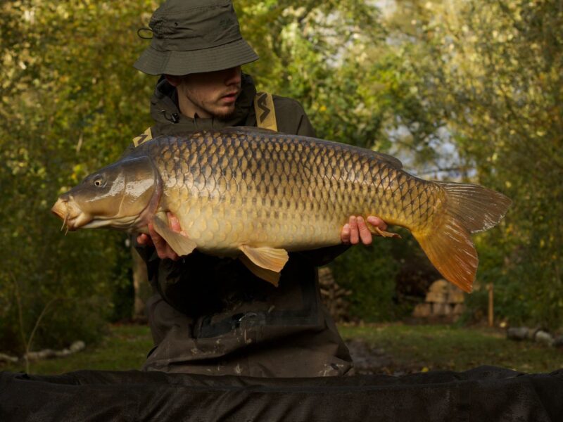 WhatsApp Image 2026-02-04 at 09.48.42