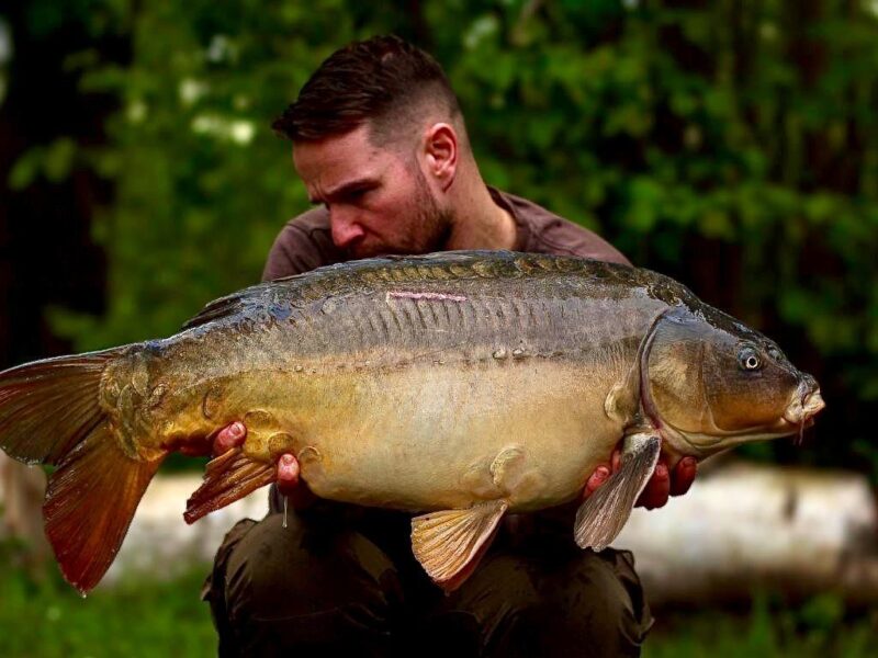 WhatsApp Image 2026-02-04 at 09.49.53 (1)