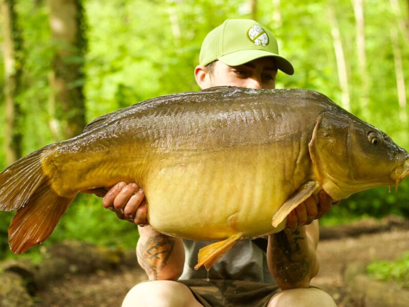 WhatsApp Image 2026-02-04 at 09.49.53 (2)