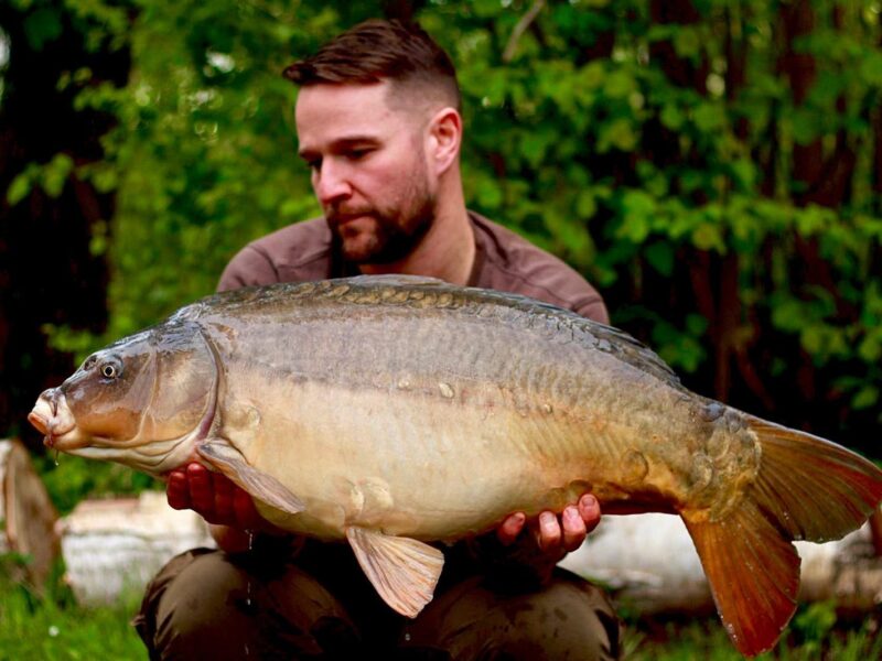 WhatsApp Image 2026-02-04 at 09.49.54