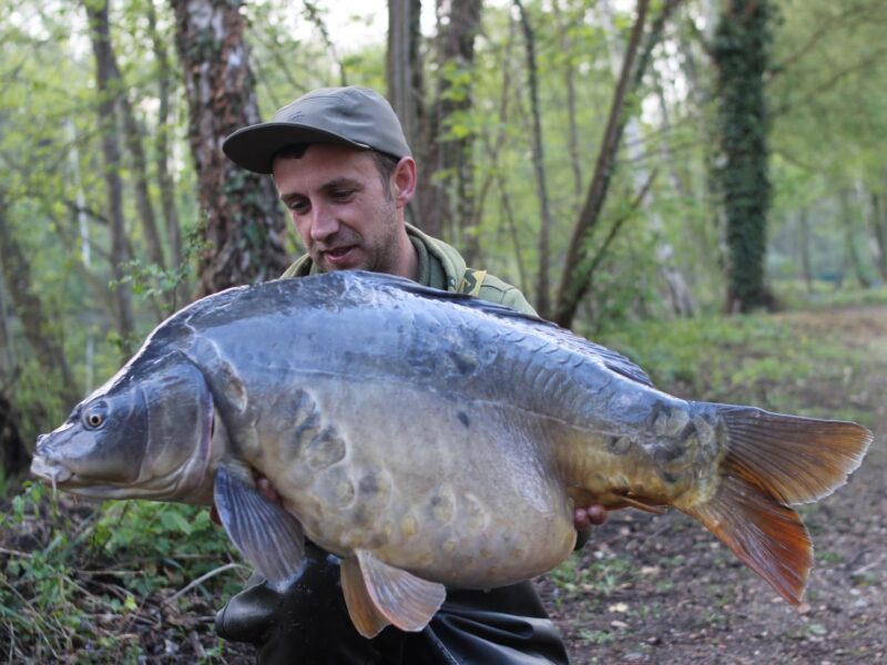 WhatsApp Image 2026-02-04 at 09.49.55