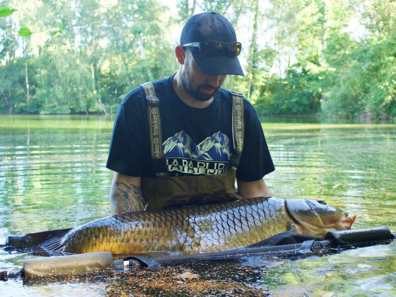 WhatsApp Image 2026-02-04 at 10.12.13 (3)