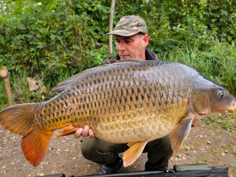 WhatsApp Image 2026-02-04 at 10.12.14